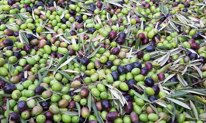 LARUTANATURAL 1